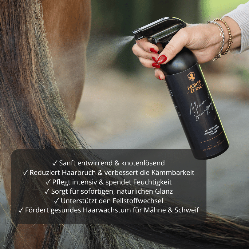 Horse Zone Beauty Bundle