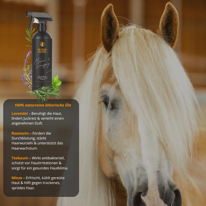 Horse Zone Beauty Bundle