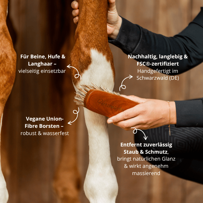 Personalisierte Wurzelbürste für Pferde