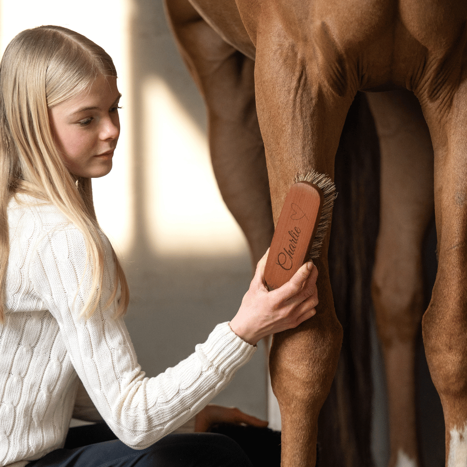 Personalisierte Wurzelbürste für Pferde