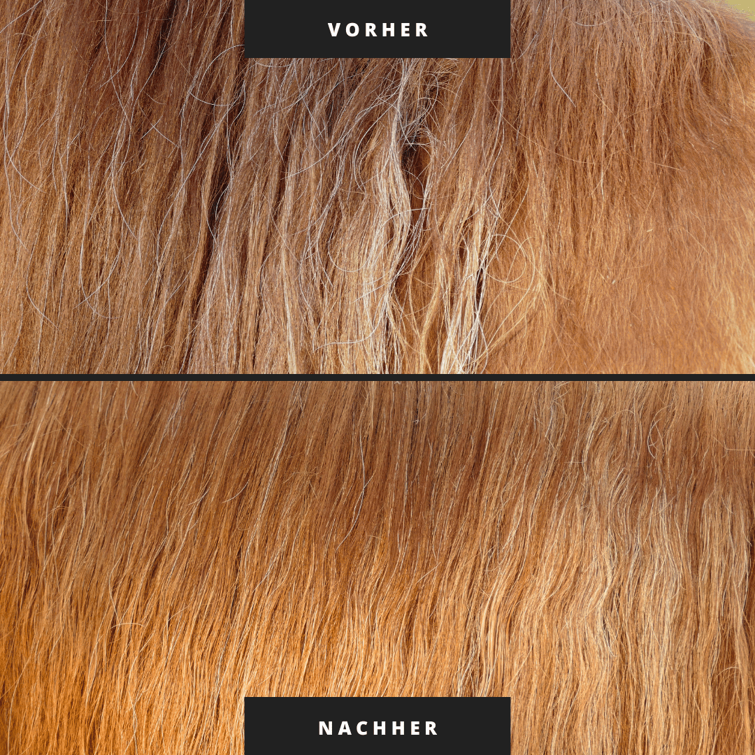 HORSE ZONE Mähnen-& Schweifspray für Pferde – mit 100 % naturreinen ätherischen Ölen