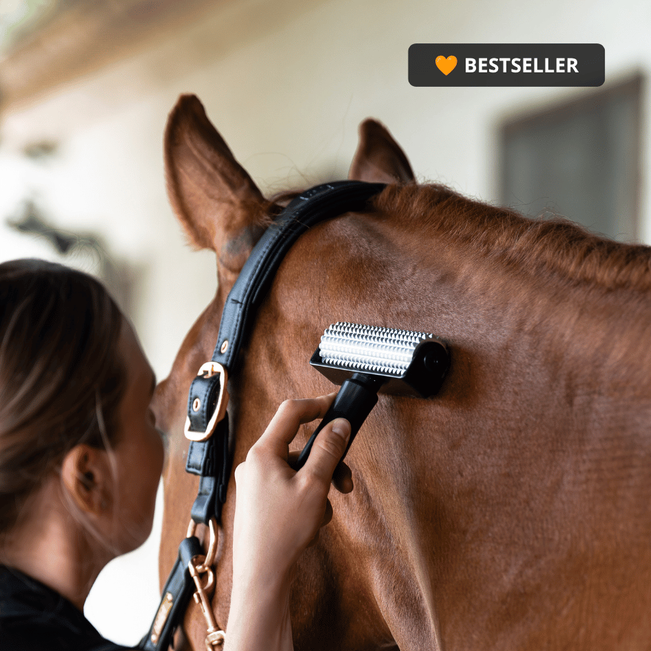 NeedleyRoll – Faszien- & Massagerolle für Pferde & Ponys
