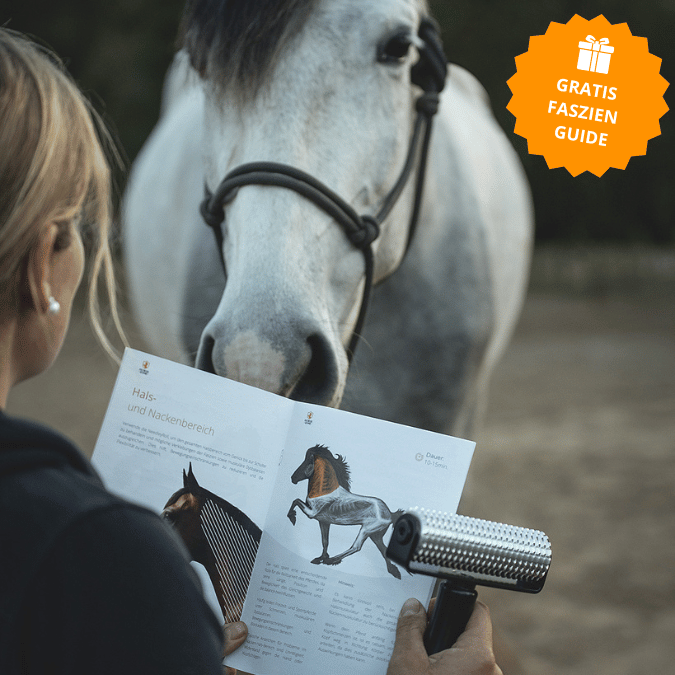 Rouleau de fascia NeedleyRoll – Développé pour les chevaux et les petits chevaux