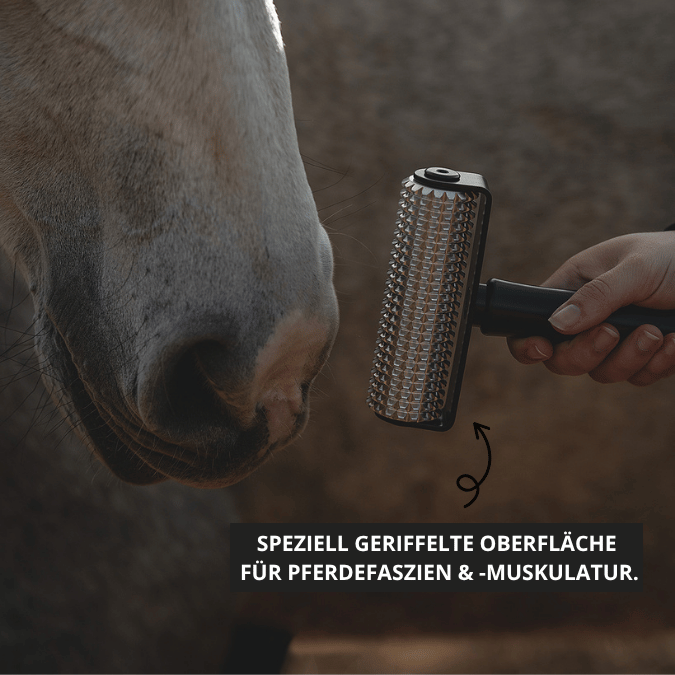 Rouleau de fascia NeedleyRoll – Développé pour les chevaux et les petits chevaux