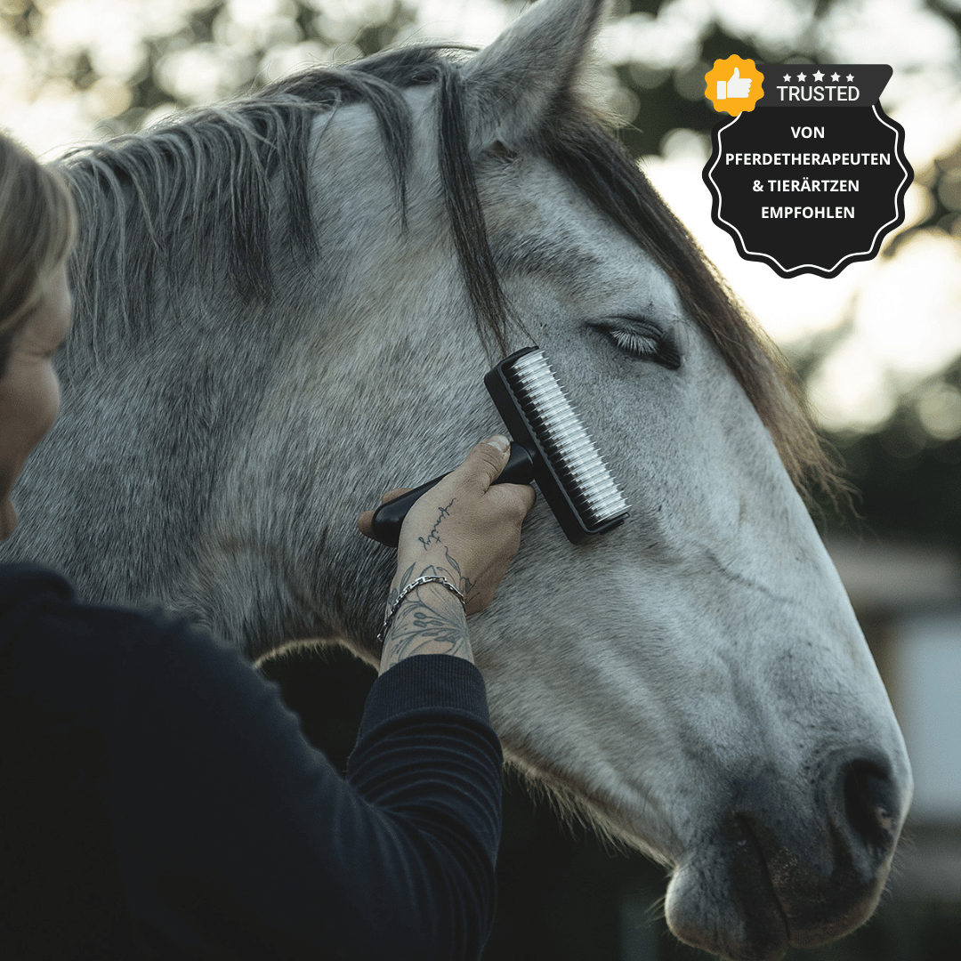 NeedleyRoll Fascia Roller Sensitive – Pour chevaux et petits chevaux