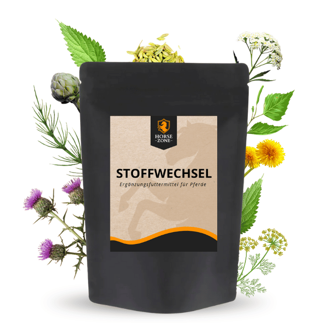 Ergänzungfutter & Leckerlis