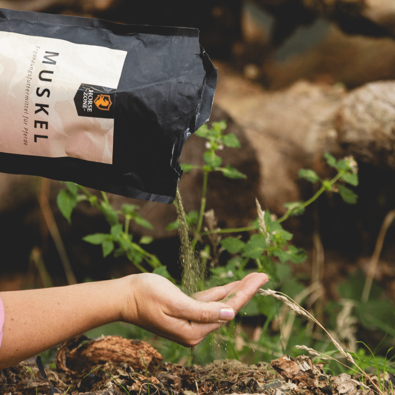 Ergänzungfutter & Leckerlis