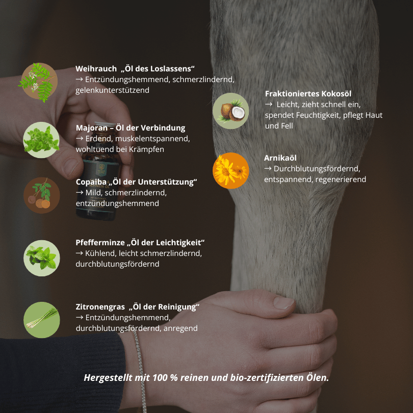 Gelenke- & Sehnen Öl für Pferde 15ml