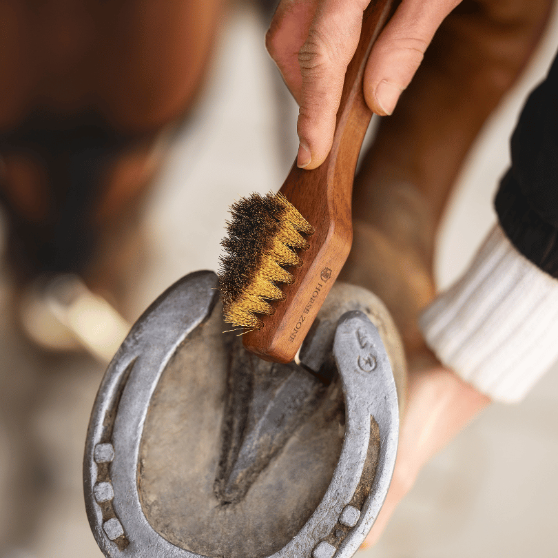 Personalisierter Hufauskratzer für Pferde