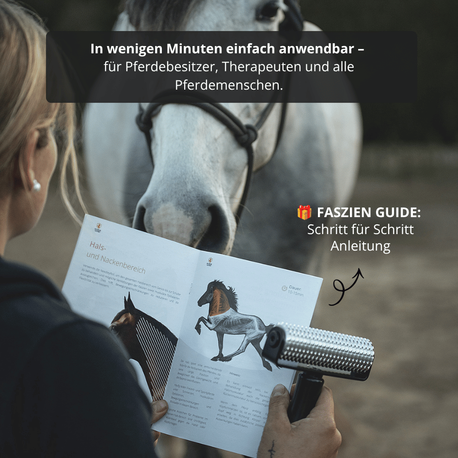 Pferdefaszien Starter Set