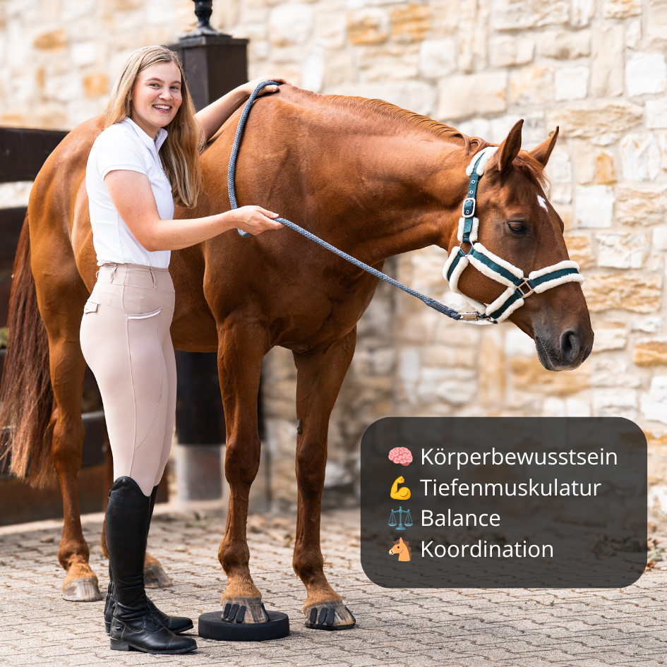 EquiPads – Balance Pads für Pferde