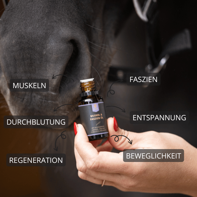 Muskel- & Faszienöl für Pferde 15ml