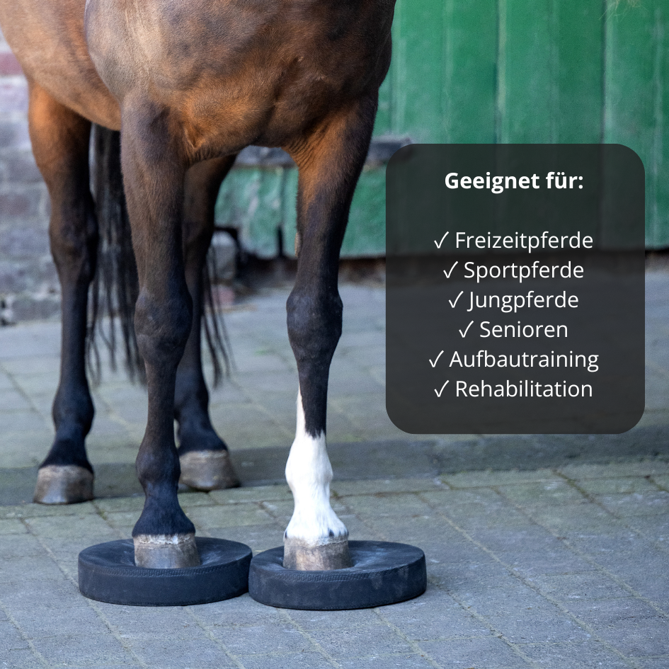 EquiPads – Balance Pads für Pferde