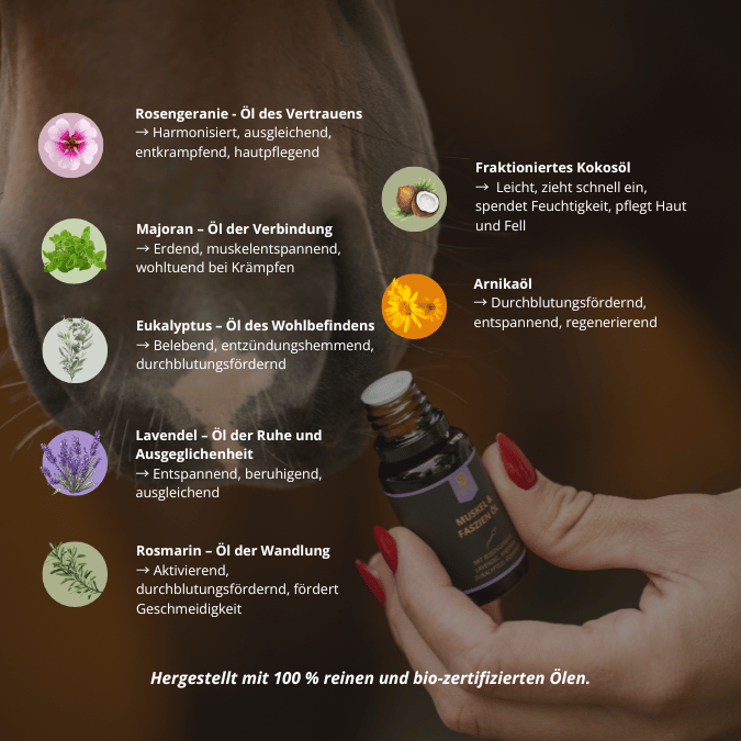 Muskel- & Faszienöl für Pferde 15ml
