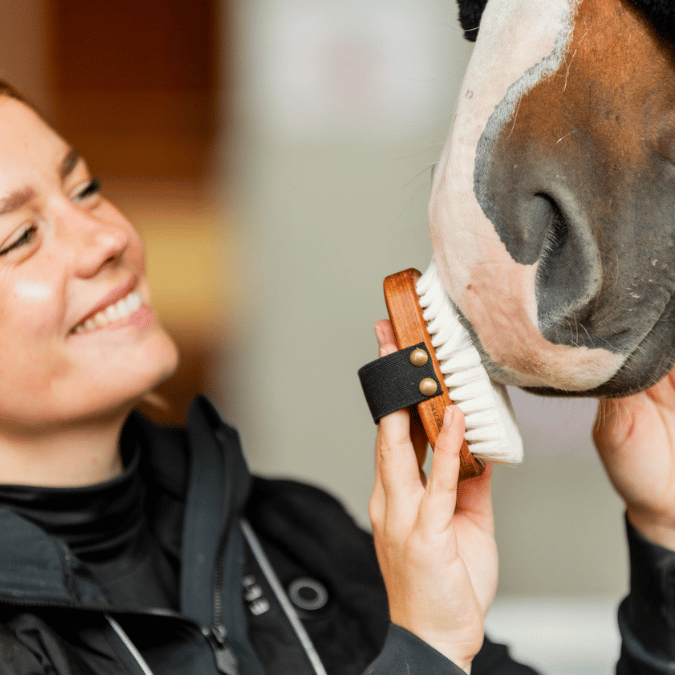 Personalisierte Kopfbürste Pferd Ziegenhaar