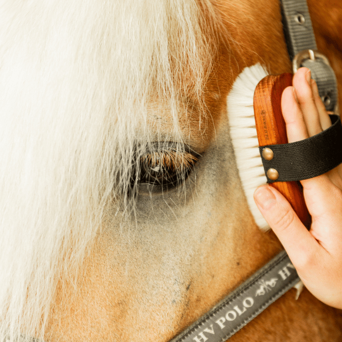 Personalisierte Kopfbürste Pferd Ziegenhaar
