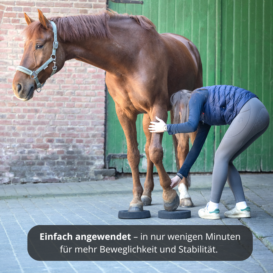 EquiPads – Balance Pads für Pferde