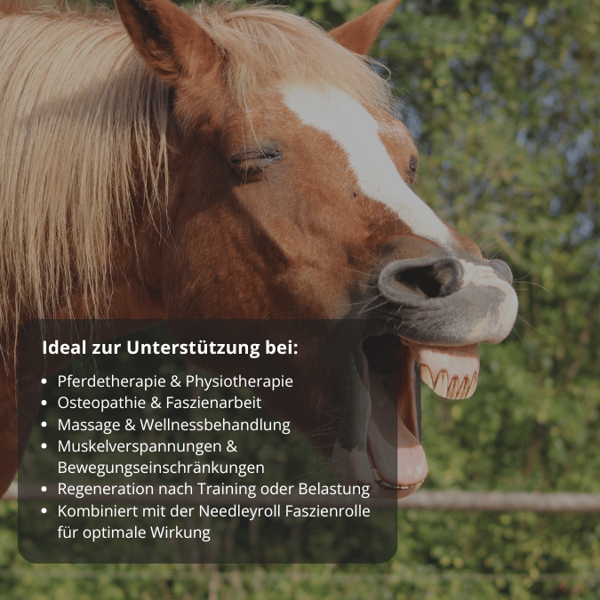 Muskel- & Faszienöl für Pferde 15ml