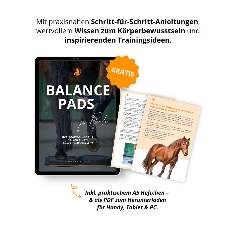 EquiPads – Balance Pads für Pferde