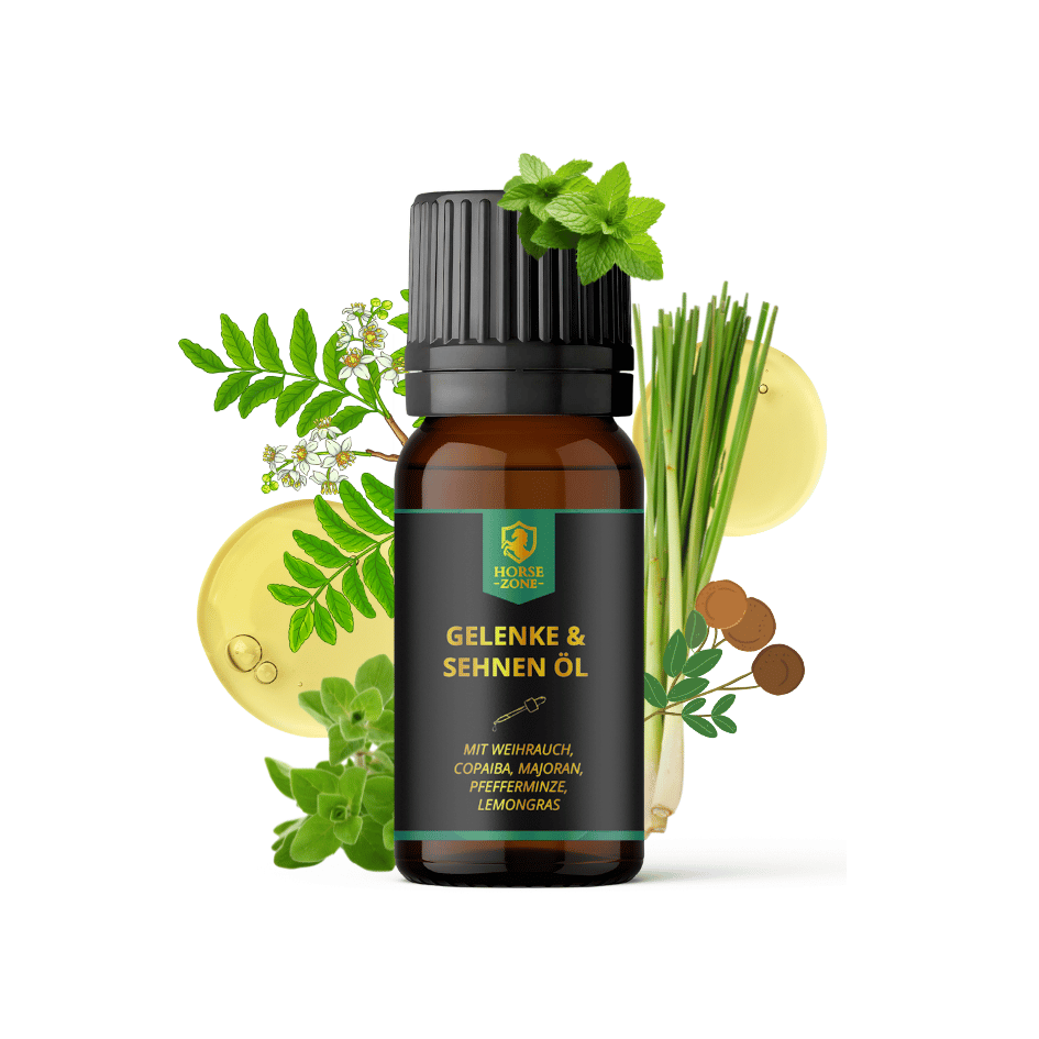 Gelenke- & Sehnen Öl für Pferde 15ml