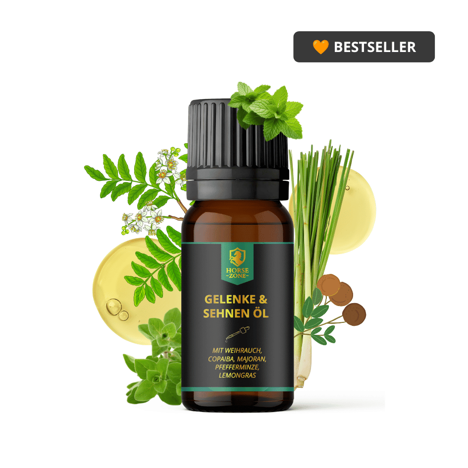 Gelenke- & Sehnen Öl für Pferde 15ml