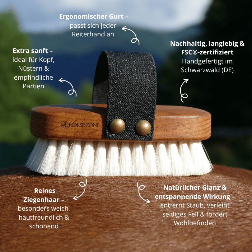 Personalisierte Kopfbürste Pferd Ziegenhaar