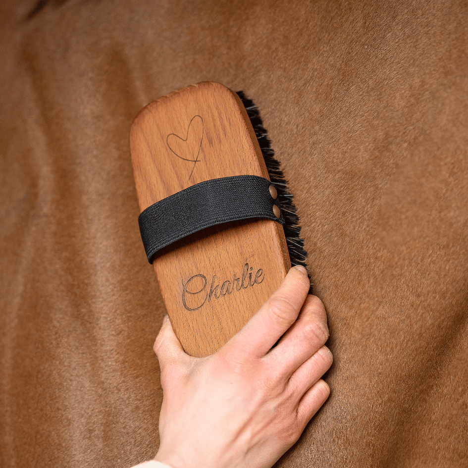 Personalisierte 2-in-1 Rosshaar Kardätsche Premium