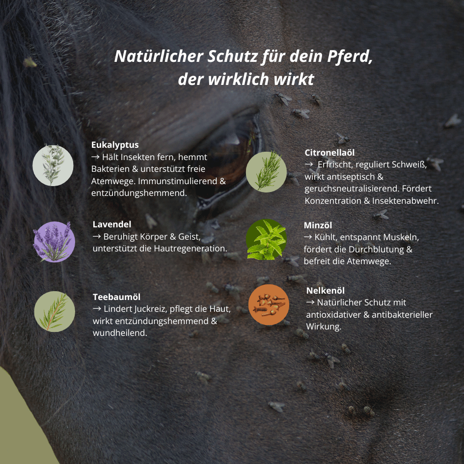 Insektenschutz Gel für Pferde 200ml – mit 100 % naturreinen ätherischen Ölen
