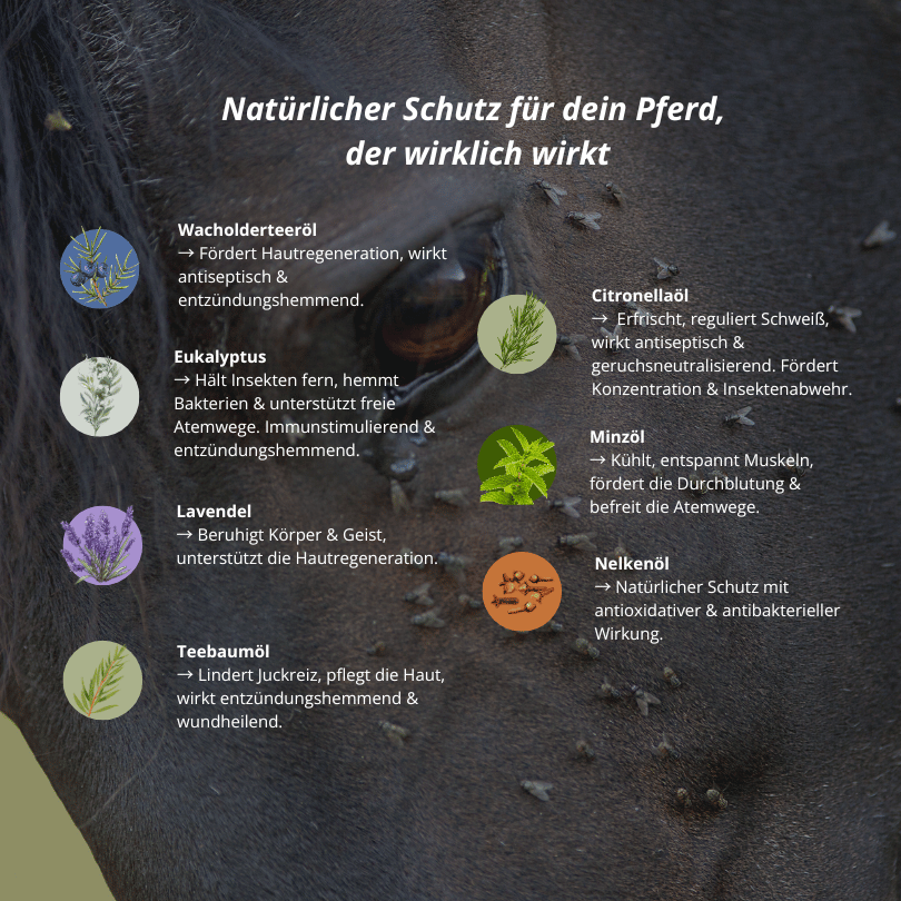 Insektenspray für Pferde 500ml – mit 100 % naturreinen ätherischen Ölen