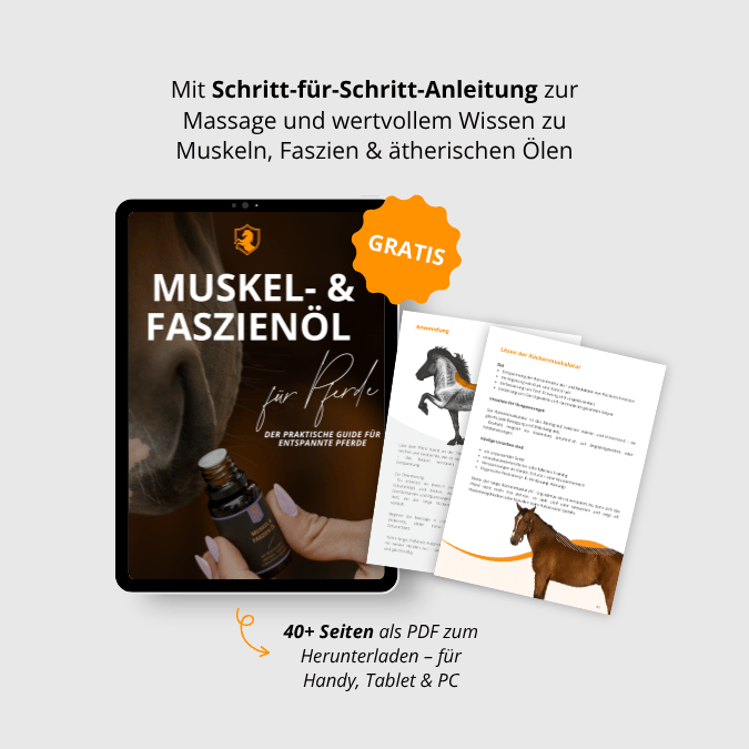 Muskel- & Faszienöl für Pferde 15ml