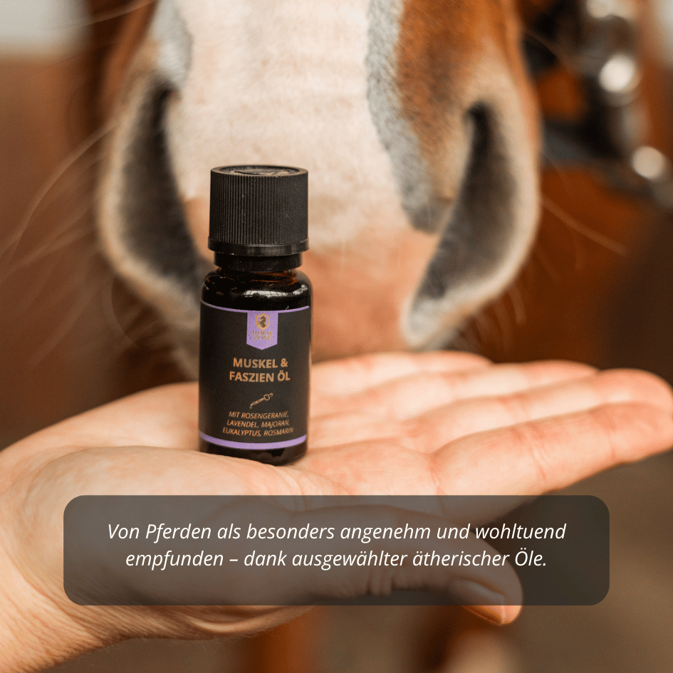 Muskel- & Faszienöl für Pferde 15ml