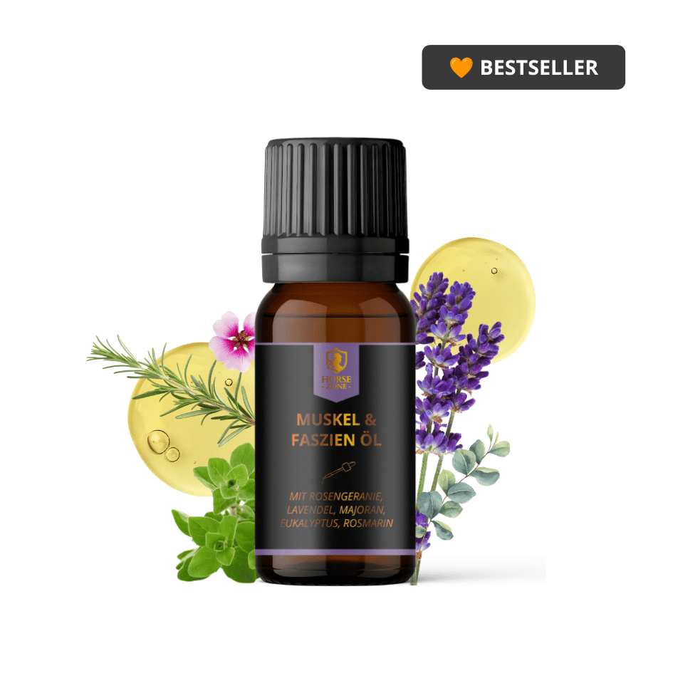 Muskel- & Faszienöl für Pferde 15ml