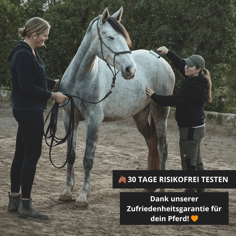 NeedleyRoll Faszienrolle – Für Pferde und Kleinpferde entwickelt