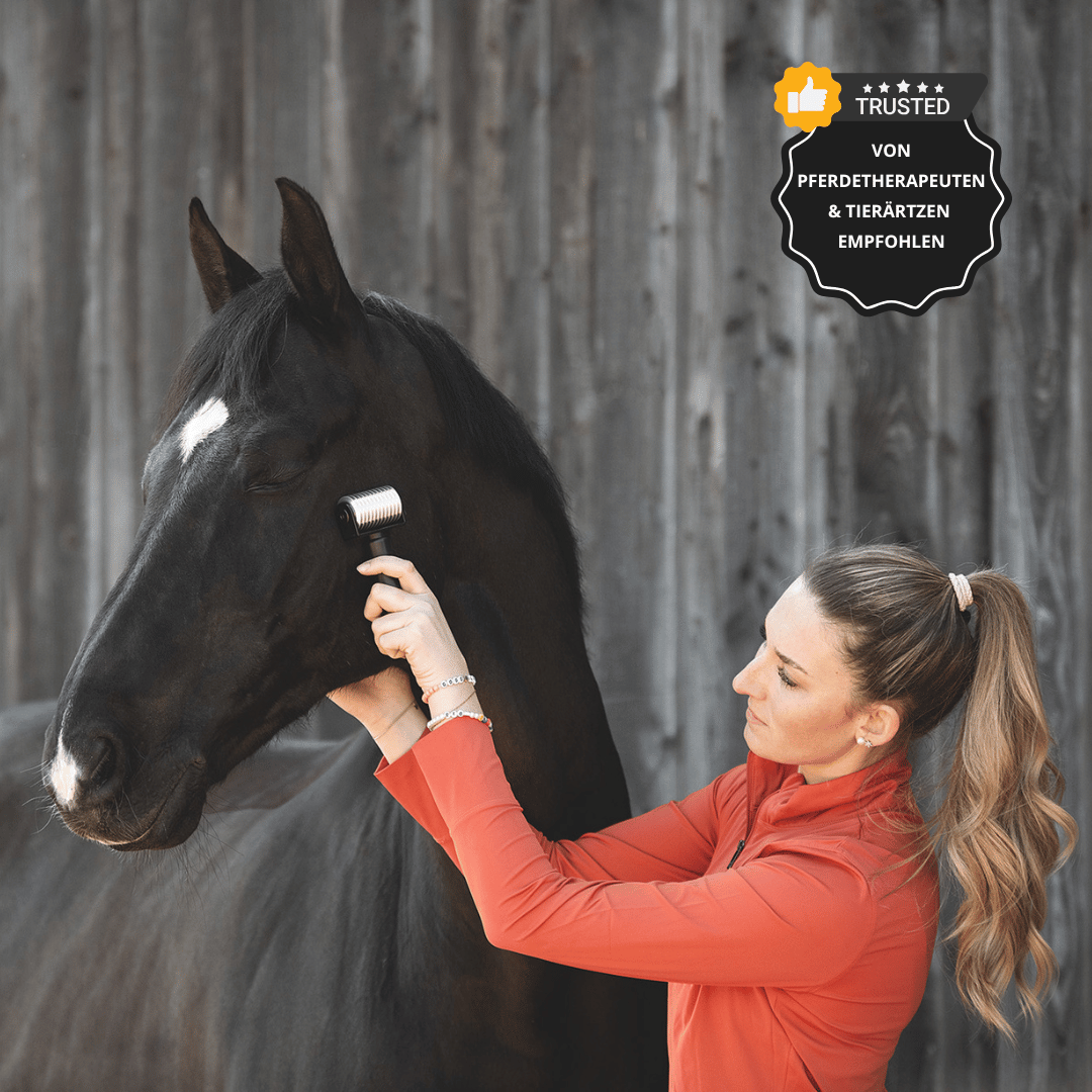 NeedleyRoll Faszienrolle Sensitive Mini – Perfekt für Kleinpferde & Hunde